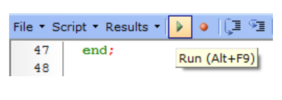 Script Run Icon